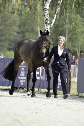 luhmuehlen-european-eventing-2019-vet-013-jpg