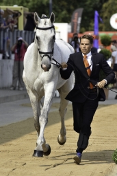 luhmuehlen-european-eventing-2019-vet-024-jpg