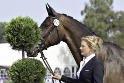 luhmuehlen-european-eventing-2019-vet-028-jpg