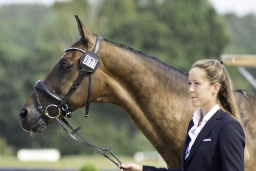 luhmuehlen-european-eventing-2019-vet-029-jpg
