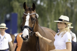 luhmuehlen-european-eventing-2019-vet-033-jpg