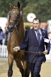 luhmuehlen-european-eventing-2019-vet-034-jpg