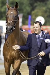 luhmuehlen-european-eventing-2019-vet-035-jpg