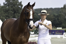 luhmuehlen-european-eventing-2019-vet-036-jpg