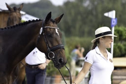 luhmuehlen-european-eventing-2019-vet-038-jpg