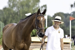 luhmuehlen-european-eventing-2019-vet-043-jpg
