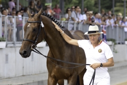luhmuehlen-european-eventing-2019-vet-046-jpg
