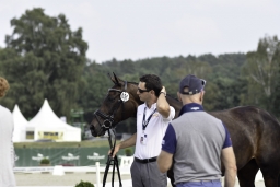 luhmuehlen-european-eventing-2019-vet-057-jpg