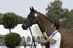 luhmuehlen-european-eventing-2019-vet-062-jpg