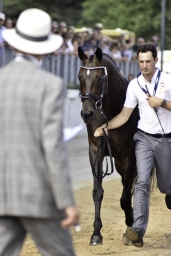 luhmuehlen-european-eventing-2019-vet-068-jpg