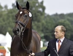 luhmuehlen-european-eventing-2019-vet-075-jpg