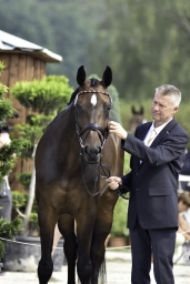 luhmuehlen-european-eventing-2019-vet-076-jpg