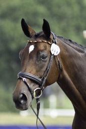 luhmuehlen-european-eventing-2019-vet-081-jpg