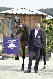 luhmuehlen-european-eventing-2019-vet-086-jpg
