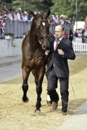 luhmuehlen-european-eventing-2019-vet-088-jpg