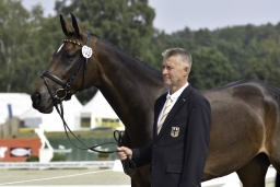 luhmuehlen-european-eventing-2019-vet-090-jpg