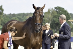 luhmuehlen-european-eventing-2019-vet-096-jpg
