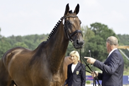 luhmuehlen-european-eventing-2019-vet-097-jpg