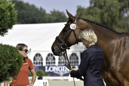 luhmuehlen-european-eventing-2019-vet-100-jpg