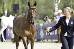 luhmuehlen-european-eventing-2019-vet-101-jpg