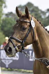 luhmuehlen-european-eventing-2019-vet-104-jpg