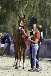 luhmuehlen-european-eventing-2019-vet-106-jpg