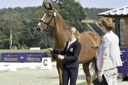 luhmuehlen-european-eventing-2019-vet-112-jpg