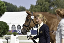 luhmuehlen-european-eventing-2019-vet-113-jpg