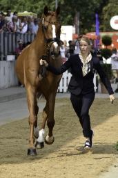 luhmuehlen-european-eventing-2019-vet-116-jpg