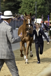 luhmuehlen-european-eventing-2019-vet-117-jpg