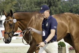 luhmuehlen-european-eventing-2019-vet-128-jpg