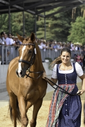 luhmuehlen-european-eventing-2019-vet-135-jpg