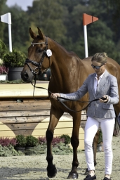 luhmuehlen-european-eventing-2019-vet-138-jpg