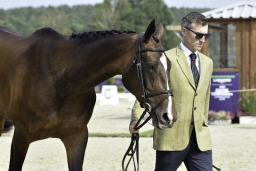luhmuehlen-european-eventing-2019-vet-151-jpg