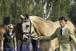 luhmuehlen-european-eventing-2019-vet-156-jpg