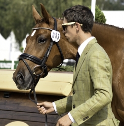 luhmuehlen-european-eventing-2019-vet-164-jpg