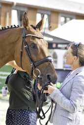 luhmuehlen-european-eventing-2019-vet-175-jpg