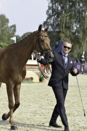 luhmuehlen-european-eventing-2019-vet-176-jpg