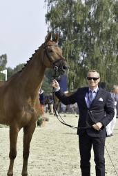 luhmuehlen-european-eventing-2019-vet-177-jpg
