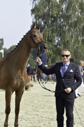 luhmuehlen-european-eventing-2019-vet-178-jpg