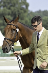 luhmuehlen-european-eventing-2019-vet-179-jpg