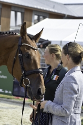 luhmuehlen-european-eventing-2019-vet-181-jpg