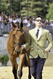 luhmuehlen-european-eventing-2019-vet-188-jpg