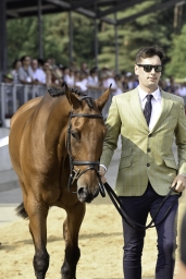 luhmuehlen-european-eventing-2019-vet-189-jpg