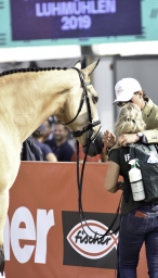 luhmuehlen-european-eventing-2019-vet-190-jpg