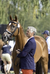 luhmuehlen-european-eventing-2019-vet-195-jpg