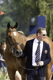 luhmuehlen-european-eventing-2019-vet-201-jpg