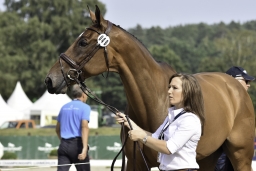 luhmuehlen-european-eventing-2019-vet-203-jpg
