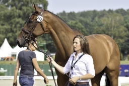 luhmuehlen-european-eventing-2019-vet-204-jpg