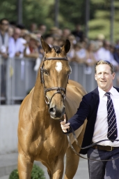luhmuehlen-european-eventing-2019-vet-209-jpg